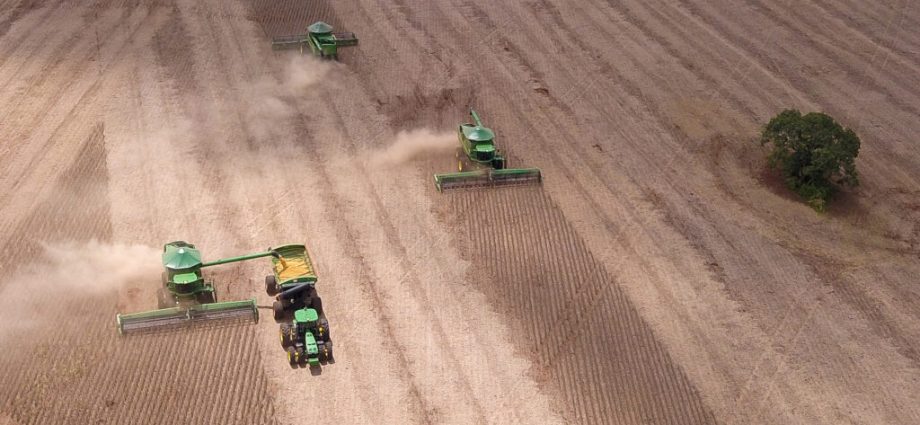 grasslands-and-wetlands-are-being-gobbled-up-by-agriculture,-mostly-livestock