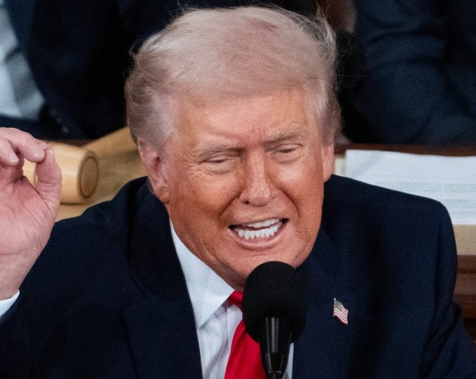 maga-lawmakers-have-the-most-predictable-response-to-traitor-47’s-sotu