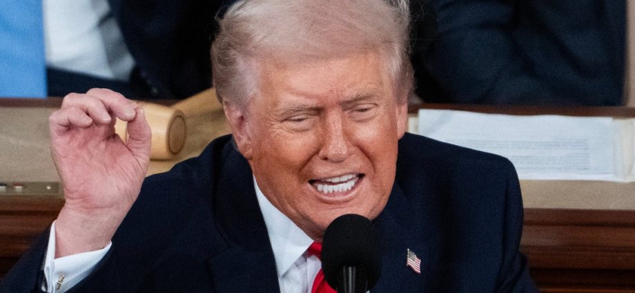 maga-lawmakers-have-the-most-predictable-response-to-traitor-47’s-sotu