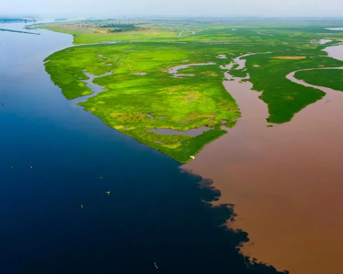 congo-basin-blackwater-lakes-are-releasing-ancient-carbon-into-the-atmosphere