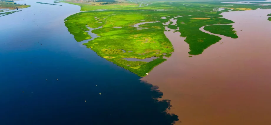 congo-basin-blackwater-lakes-are-releasing-ancient-carbon-into-the-atmosphere