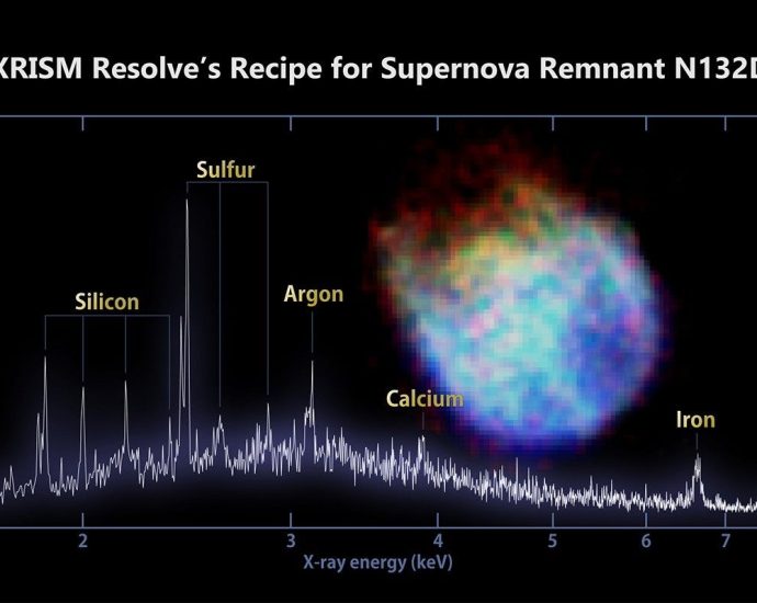 the-xrism-spacecraft