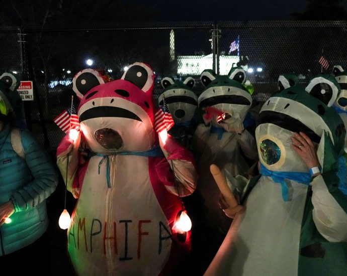 demonstrators-in-frog-costumes-protest-the-traitor’s-state-of-the-union