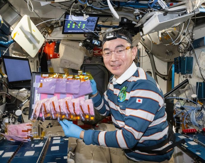 nasa-study-to-analyze-fermented-food-samples-from-space