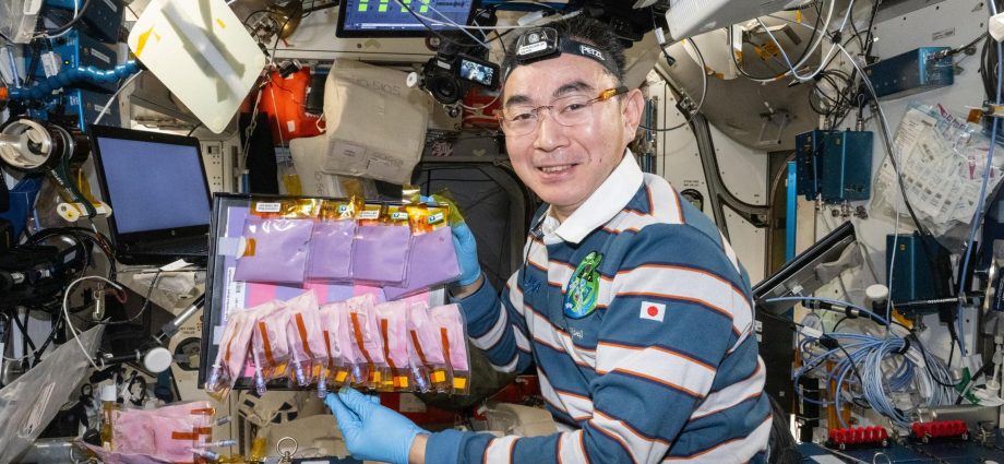 nasa-study-to-analyze-fermented-food-samples-from-space