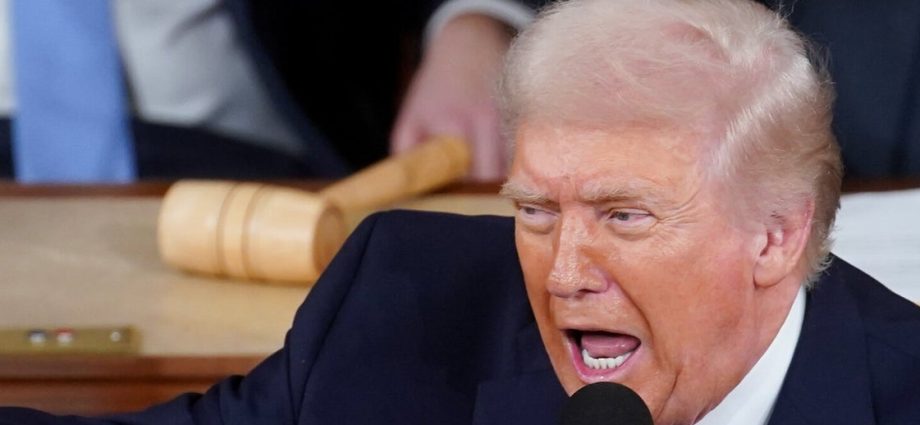 the-traitor-declared-a-‘war-on-fraud’-and-you-know-exactly-what-happened-next