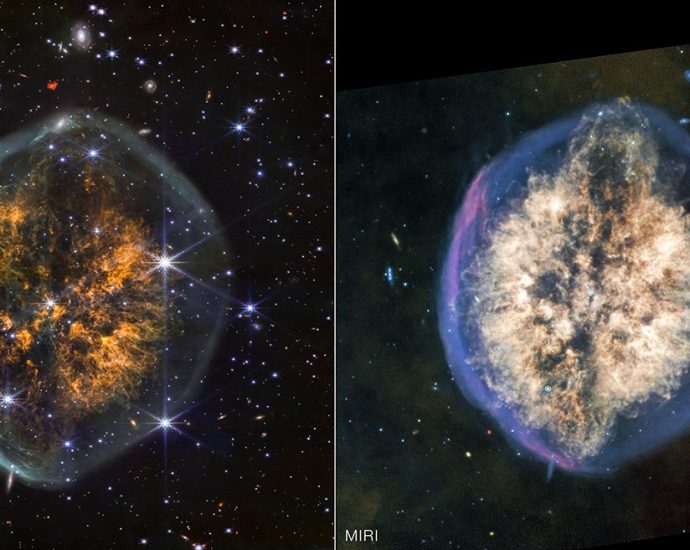 nasa’s-webb-examines-cranium-nebula