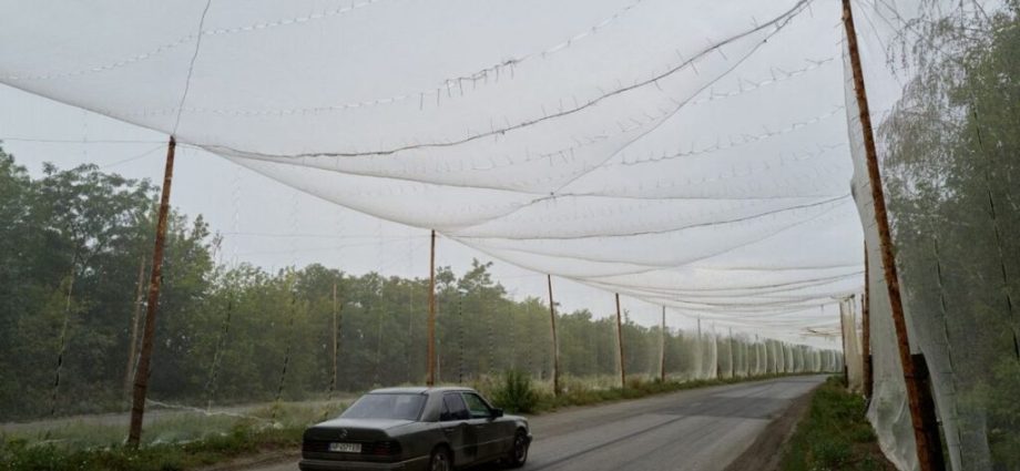 from-5-km-to-20-km-a-day:-ukraine-triples-anti-drone-tunnel-construction-speed-in-two-months