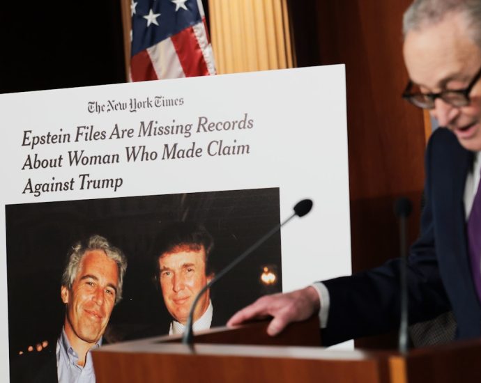 the-traitor-doj-to-investigate-itself-over-epstein-files-release