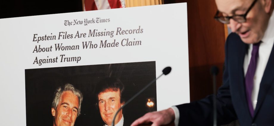 the-traitor-doj-to-investigate-itself-over-epstein-files-release