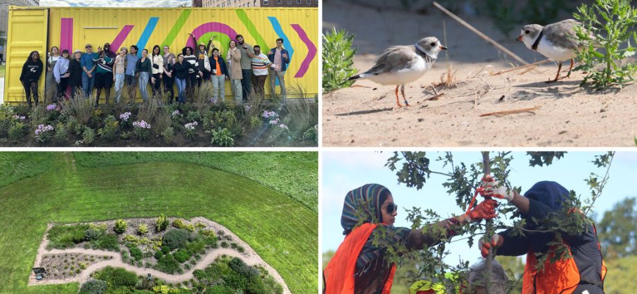 readers-share-eco-friendly-projects-happening-in-their-communities