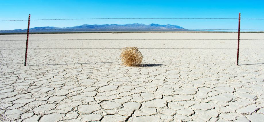 pcs-and-phones-to-get-more-boring-and-expensive-in-2026-thanks-to-memory-drought