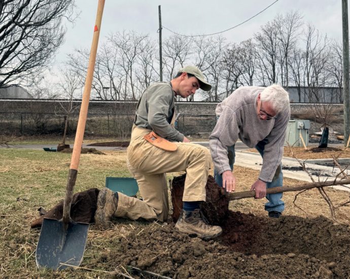 helping-trees—and-a-city—outrace-climate-change