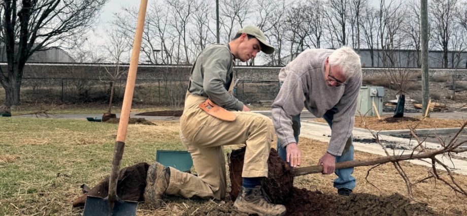 helping-trees—and-a-city—outrace-climate-change