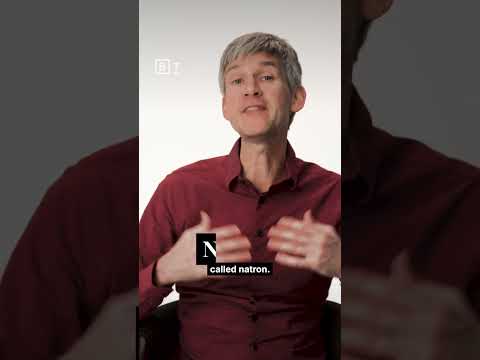 how-scientists-made-a-mummy-|-sam-kean