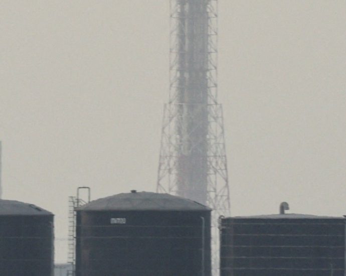 india,-europe-feel-fuel-crunch-as-gulf-gas-supplies-disrupted-amid-war