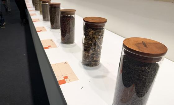 why-medicinal-plants-matter-on-world-wildlife-day