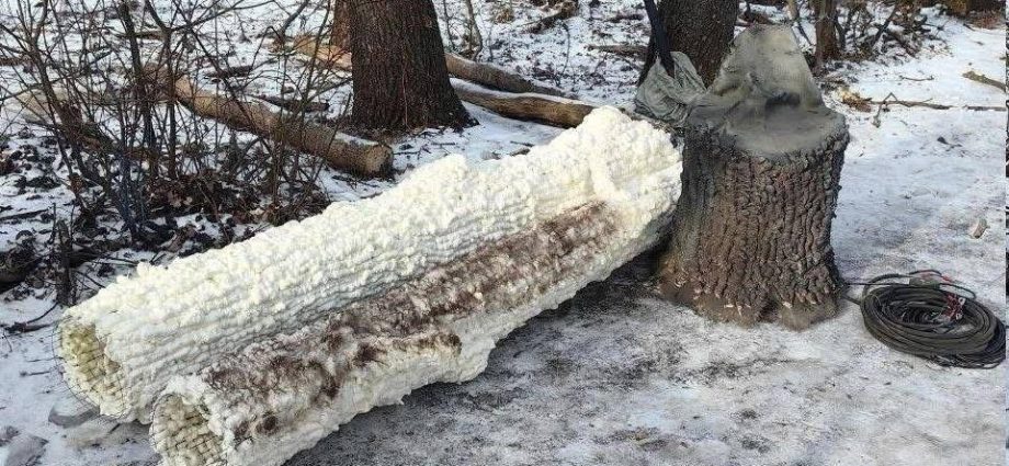 russia-is-building-fake-trees-to-hide-communications-antennas-that-ukrainian-drones-keep-finding