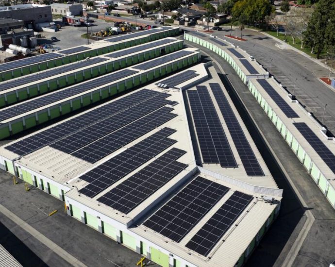 renewable-energy-defies the-traitor’s-attacks, reaching-a-new-record