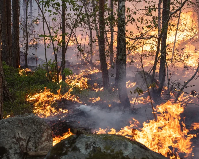 Climate models may be missing massive carbon emissions from boreal wildfires
