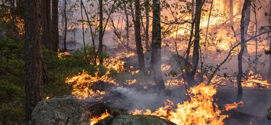 Climate models may be missing massive carbon emissions from boreal wildfires