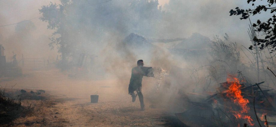 warming-triggers-a-chain-reaction-of-disturbance-in-european-forests