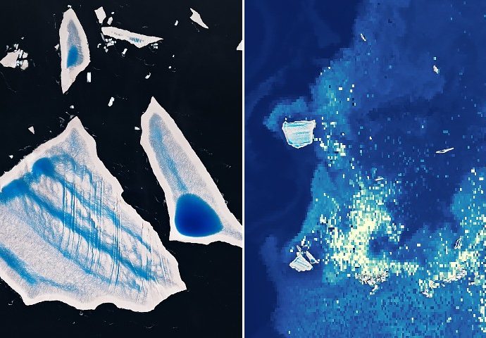 ailing-“megaberg”-sparks-surge-of-microscopic-life