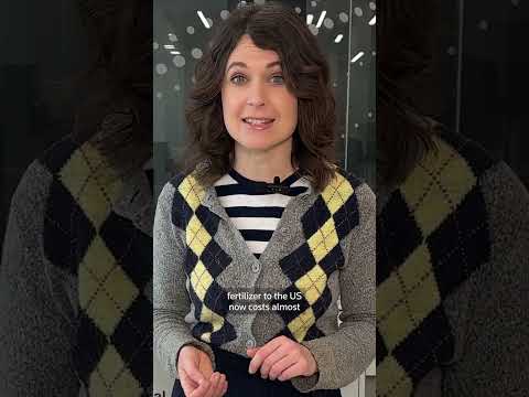 what-has-the-iran-war-got-to-do-with-the-price-of-bread?