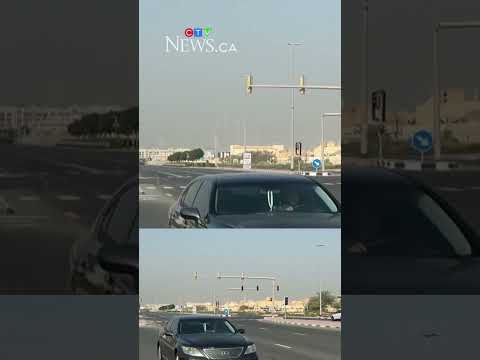 sask.-trade-office-workers-in-dubai-on-alert