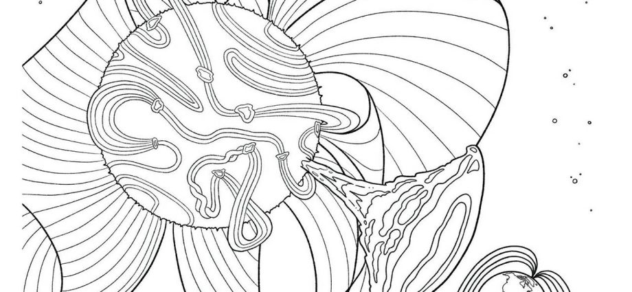 journey-through-the-heliosphere:-solar-magnetic-fields