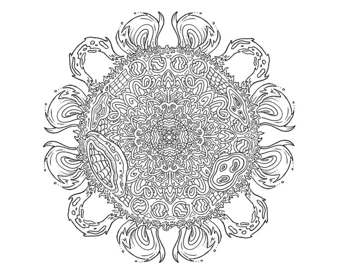 journey-through-the-heliosphere:-the-sun