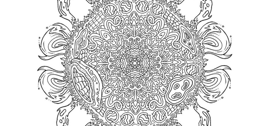 journey-through-the-heliosphere:-the-sun