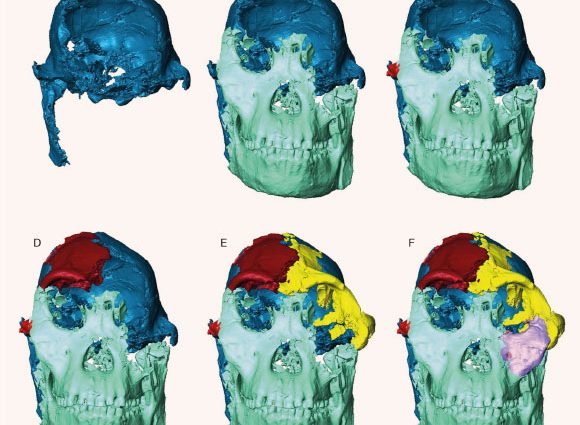 Scientists Digitally Reconstruct Face of ‘Little Foot’