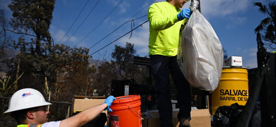 epa-hits-40-year-lows-in-staffing-after-the-traitor-targets-its-public-health-experts