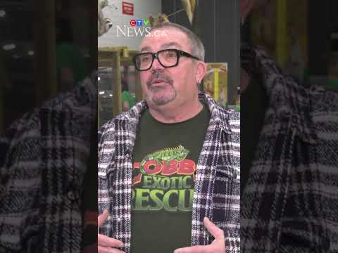 exotic-animals-at-edmonton-wildlife-festival-this-weekend