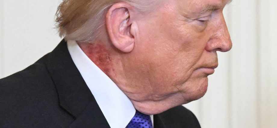 traitor-47’s-presidency-is-in-free-fall