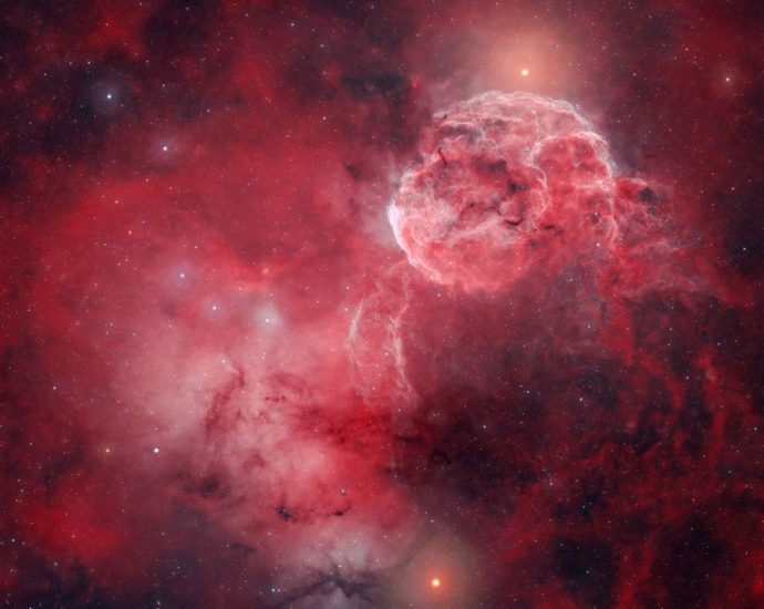 A jellyfish or a brain? Tell us what you see in this gorgeous deep-space nebula photo