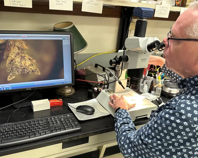 tiny-clump-of-moss-helped-solve-a-shocking-cemetery-crime