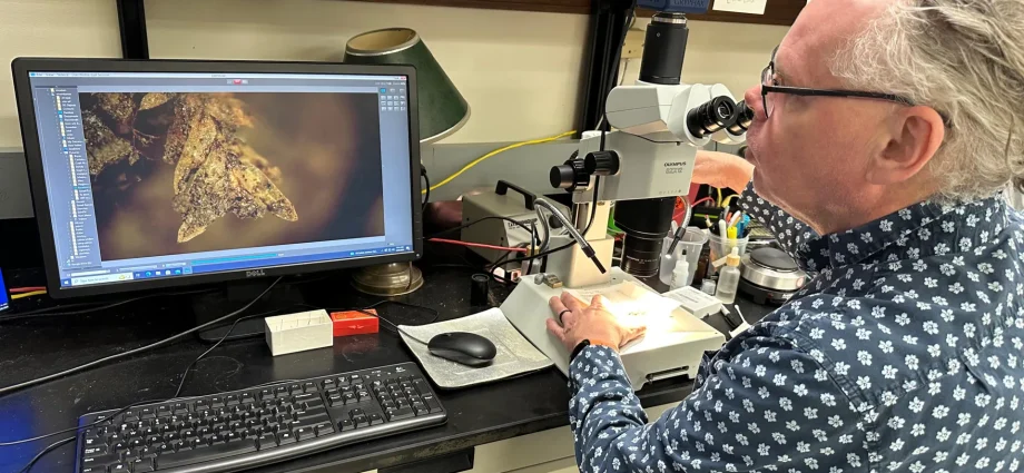 tiny-clump-of-moss-helped-solve-a-shocking-cemetery-crime