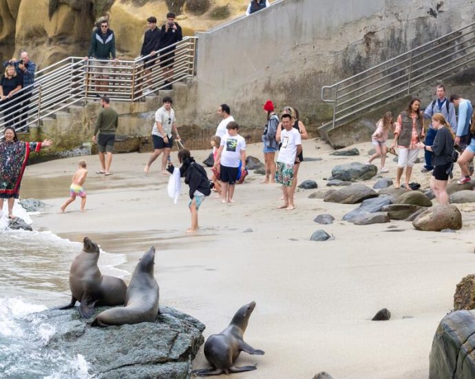 sea-levels-are-already-higher-than-we-thought,-according-to-new-calculations