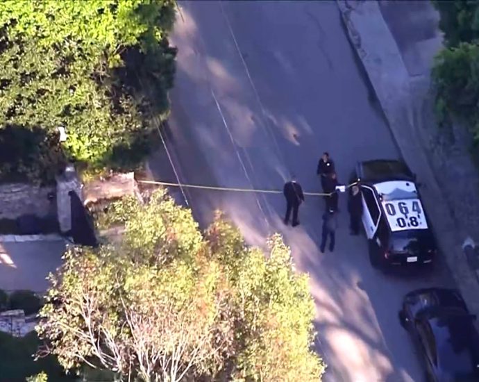 woman-arrested-after-allegedly-firing-shots-at-rihanna’s-la.-home,-police-say