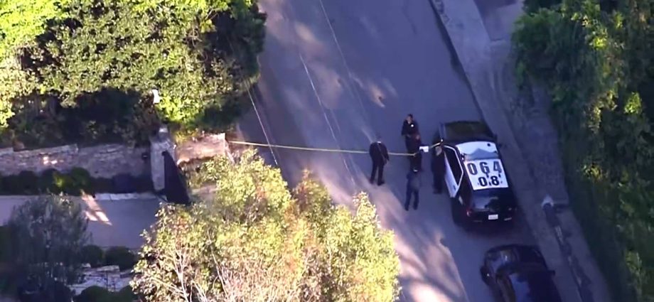 woman-arrested-after-allegedly-firing-shots-at-rihanna’s-la.-home,-police-say