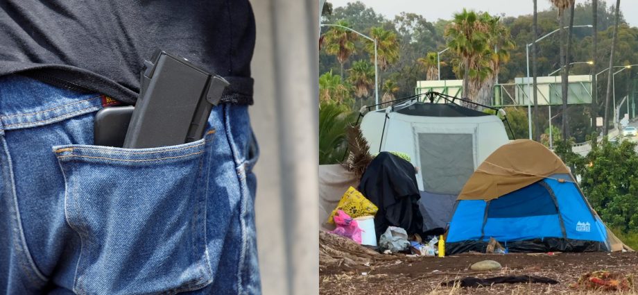 dc-gun-magazine-ban-struck-down;-medicaid-risk-for-180k-unhoused-californians