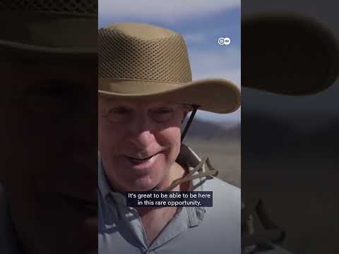 death-valley-bursts-into-bloom-|-dw-news