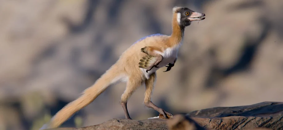 this-2-pound-dinosaur-is-rewriting-what-scientists-know-about-evolution