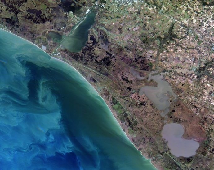 webinar-3/25:-nasa-csda-vendor-focus-–-satellogic