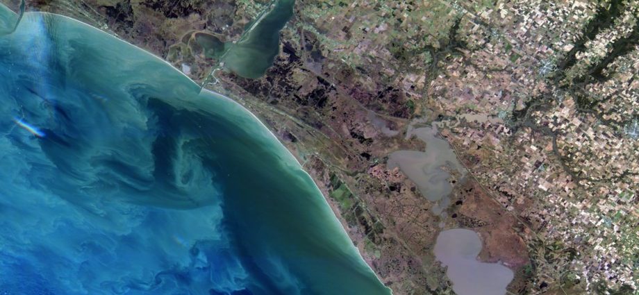 webinar-3/25:-nasa-csda-vendor-focus-–-satellogic