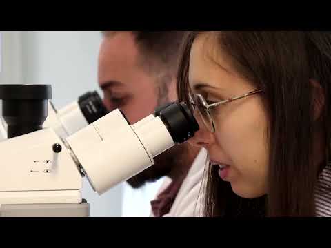 spanish-scientists-develop-artificial-cornea-from-fish-scales