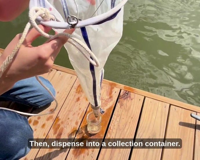 spotlite:-where-can-you-find-phytoplankton?