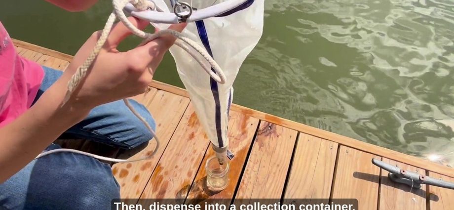 spotlite:-where-can-you-find-phytoplankton?